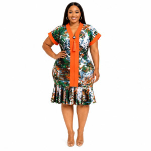 Short Sleeve Printed V Neck Dress with Tassel Detail